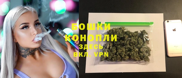 ешки Чекалин