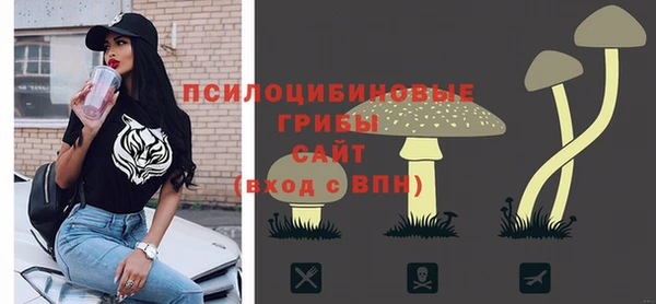 ешки Чекалин