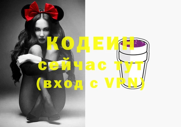 мдпв Чердынь
