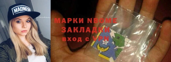 твердый Чегем
