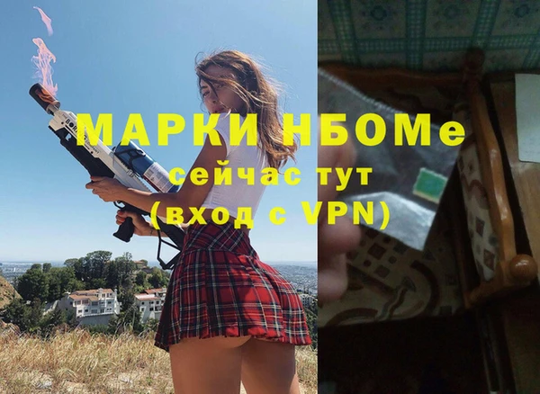 твердый Чегем