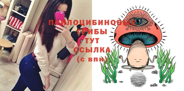 мдпв Чердынь