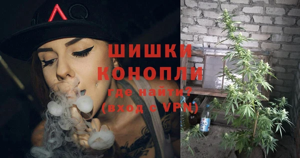 ешки Чекалин