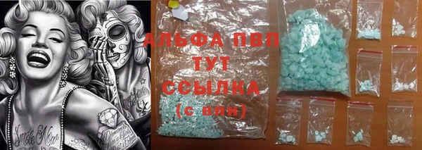 твердый Чегем