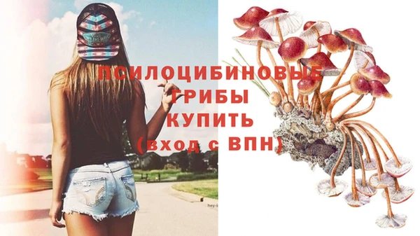 мдпв Чердынь